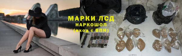 прущие грибы Богданович
