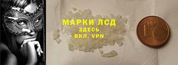 прущие грибы Богданович
