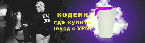 прущие грибы Богданович