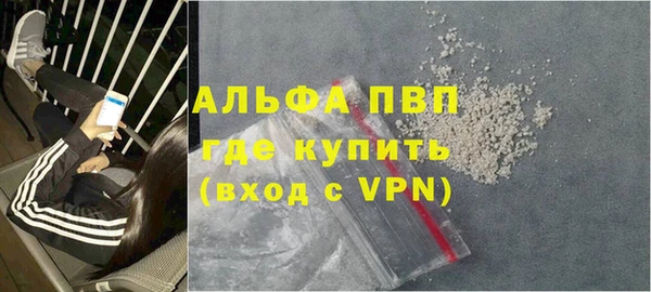 прущие грибы Богданович