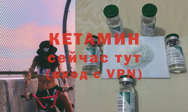 прущие грибы Богданович