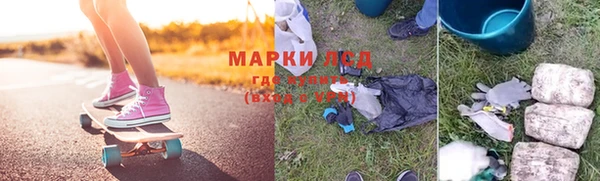 прущие грибы Богданович