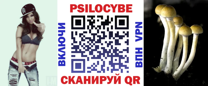 дарк нет как зайти  Кущёвская  Галлюциногенные грибы Psilocybe 