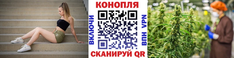 Каннабис индика  гидра сайт  Кущёвская  цены наркотик 